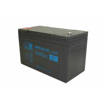 MW Power MWP 100-12h (12V 100Ah)